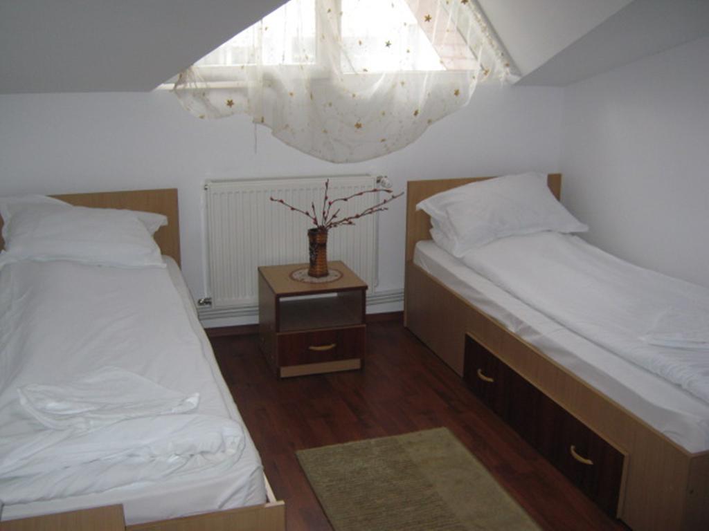 Pensiunea Ramona Tulcea Habitación foto