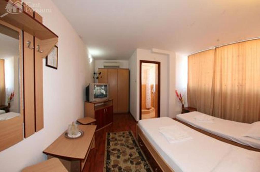 Pensiunea Ramona Tulcea Habitación foto