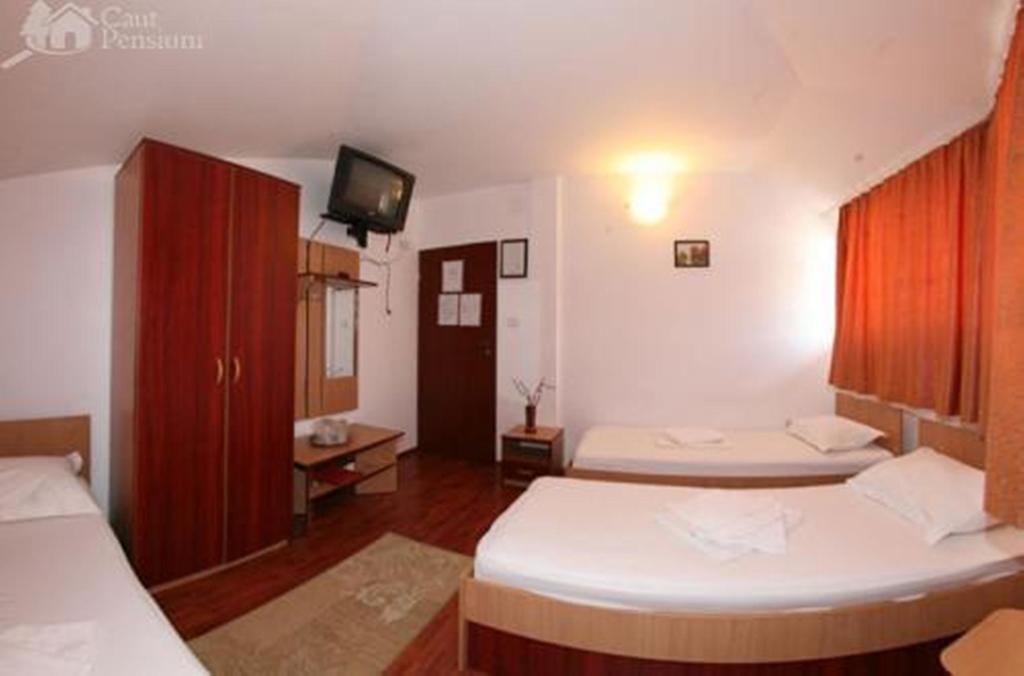Pensiunea Ramona Tulcea Habitación foto