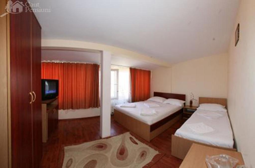 Pensiunea Ramona Tulcea Habitación foto