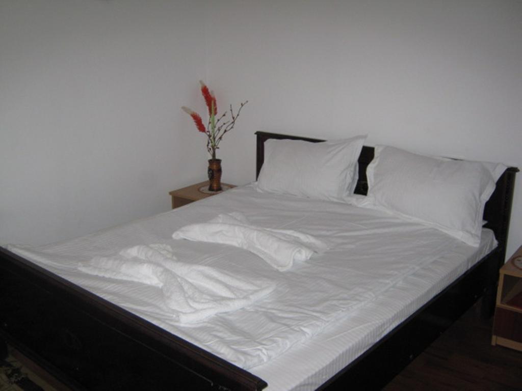 Pensiunea Ramona Tulcea Habitación foto