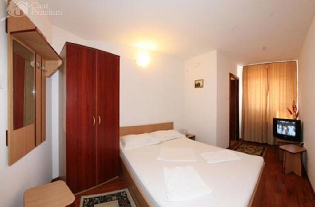 Pensiunea Ramona Tulcea Habitación foto