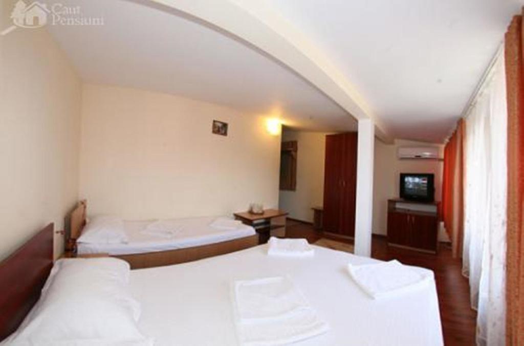 Pensiunea Ramona Tulcea Exterior foto
